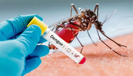 Sixty-seven dengue cases reported in country 
