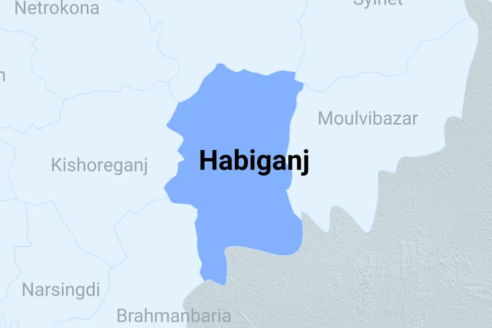 One killed, 4 injured in Habiganj road accident