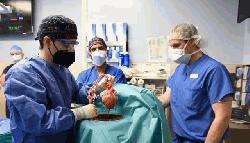 US experts carry out second pig-to-human heart transplant