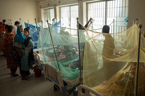 Five die from dengue, 968 hospitalised in a day 