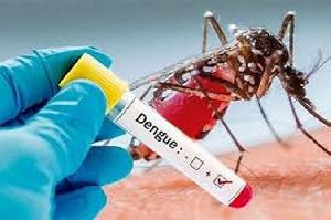 35 more dengue cases reported in 24hrs